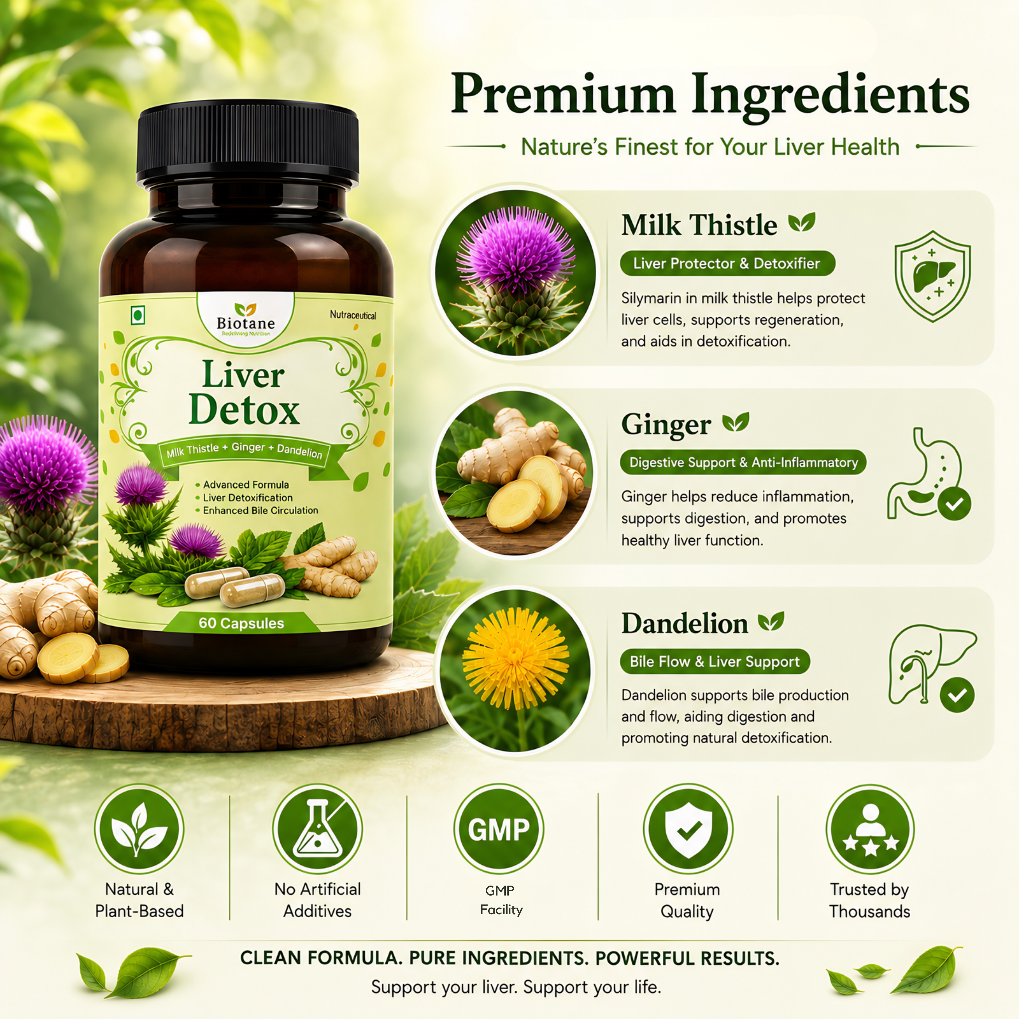 Biotane Liver Detox with Milk Thistle + Dandelion + Ginger | Liver Cleanse, Liver Detoxification & Bile Circulation Support | 60 Veg Capsules