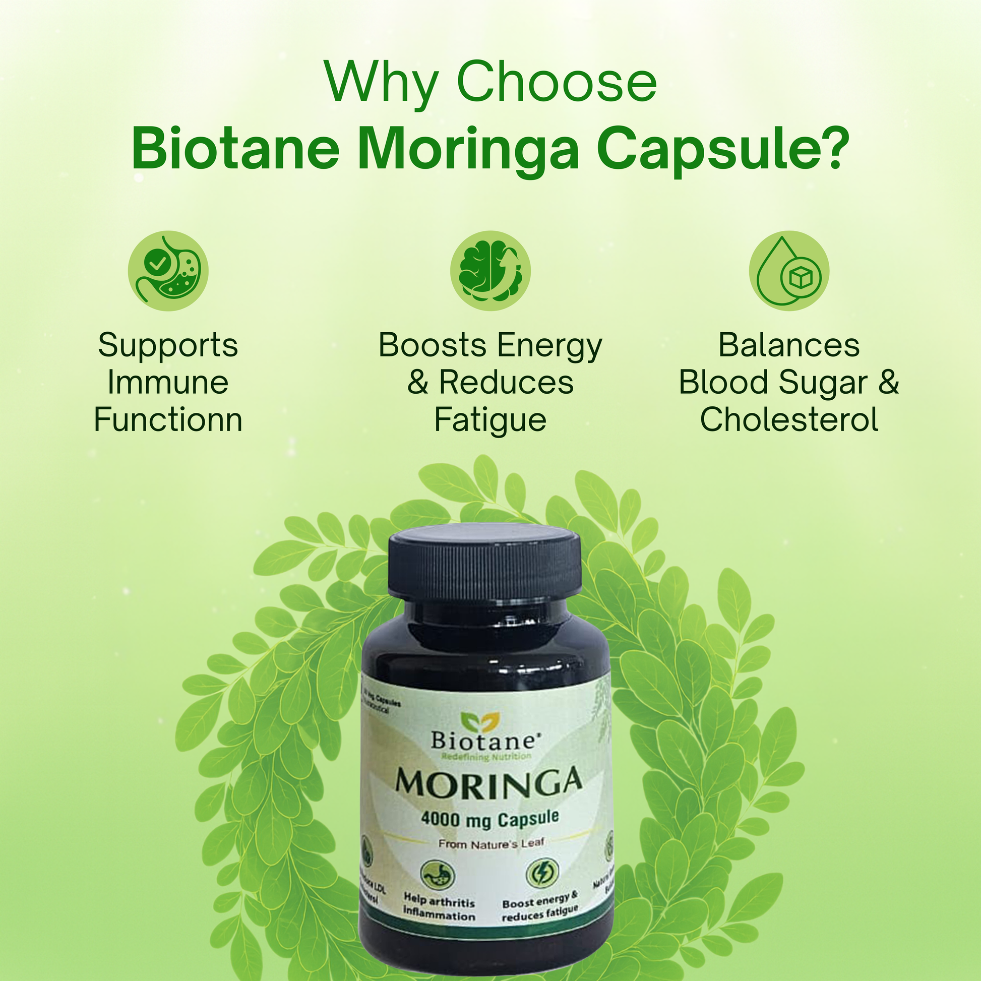 Biotane Moringa Capsules 4000mg | Natural Energy & Immunity Support | Helps Maintain Healthy Cholesterol | Joint & Vitality Care