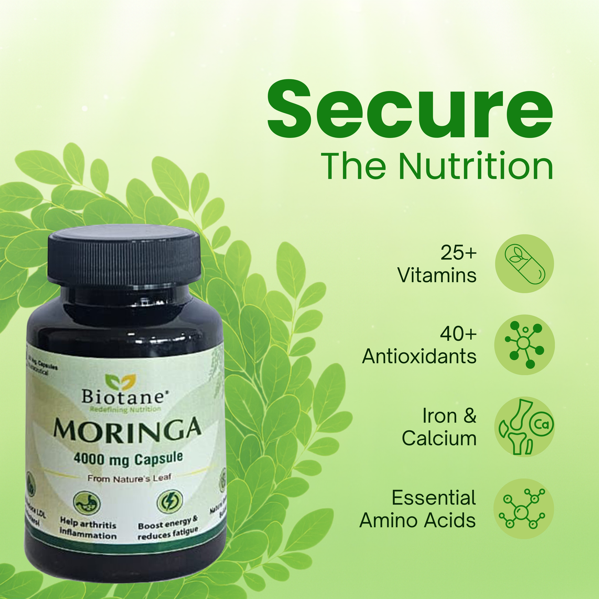 Biotane Moringa Capsules 4000mg | Natural Energy & Immunity Support | Helps Maintain Healthy Cholesterol | Joint & Vitality Care