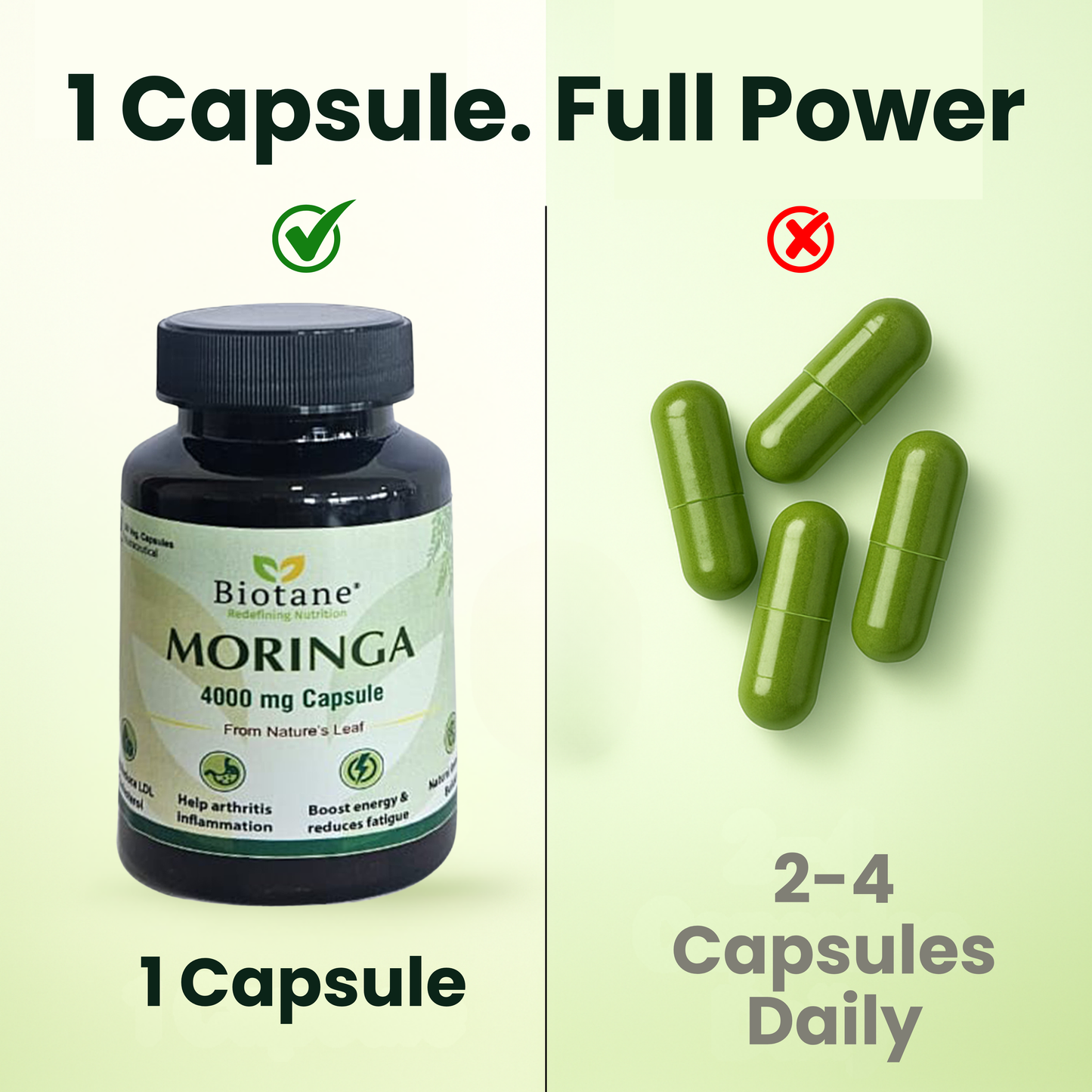 Biotane Moringa Capsules 4000mg | Natural Energy & Immunity Support | Helps Maintain Healthy Cholesterol | Joint & Vitality Care
