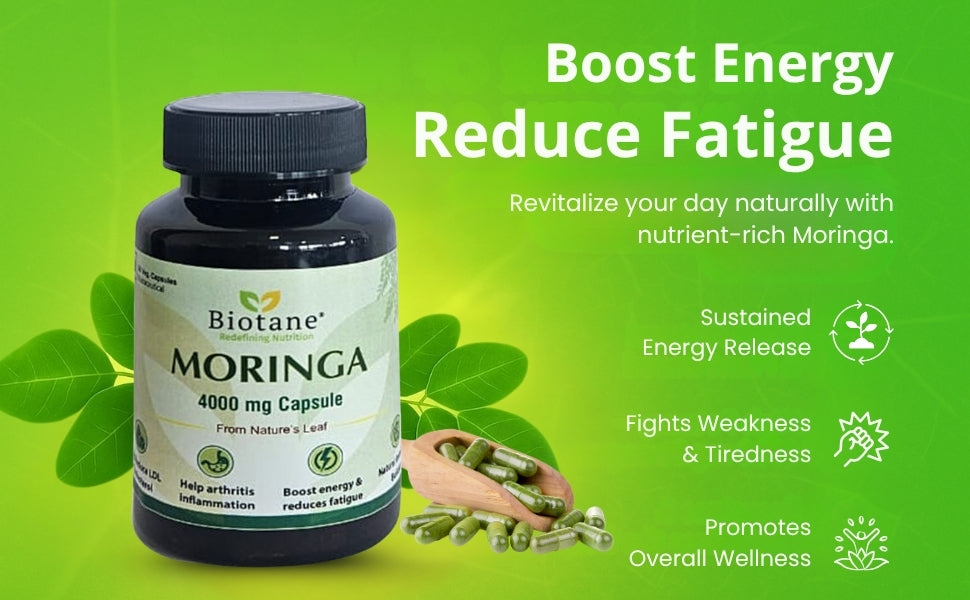 Biotane Moringa Capsules 4000mg | Natural Energy & Immunity Support | Helps Maintain Healthy Cholesterol | Joint & Vitality Care