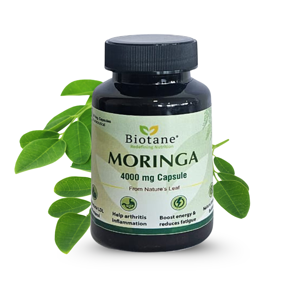 Biotane Moringa Capsules 4000mg | Natural Energy & Immunity Support | Helps Maintain Healthy Cholesterol | Joint & Vitality Care