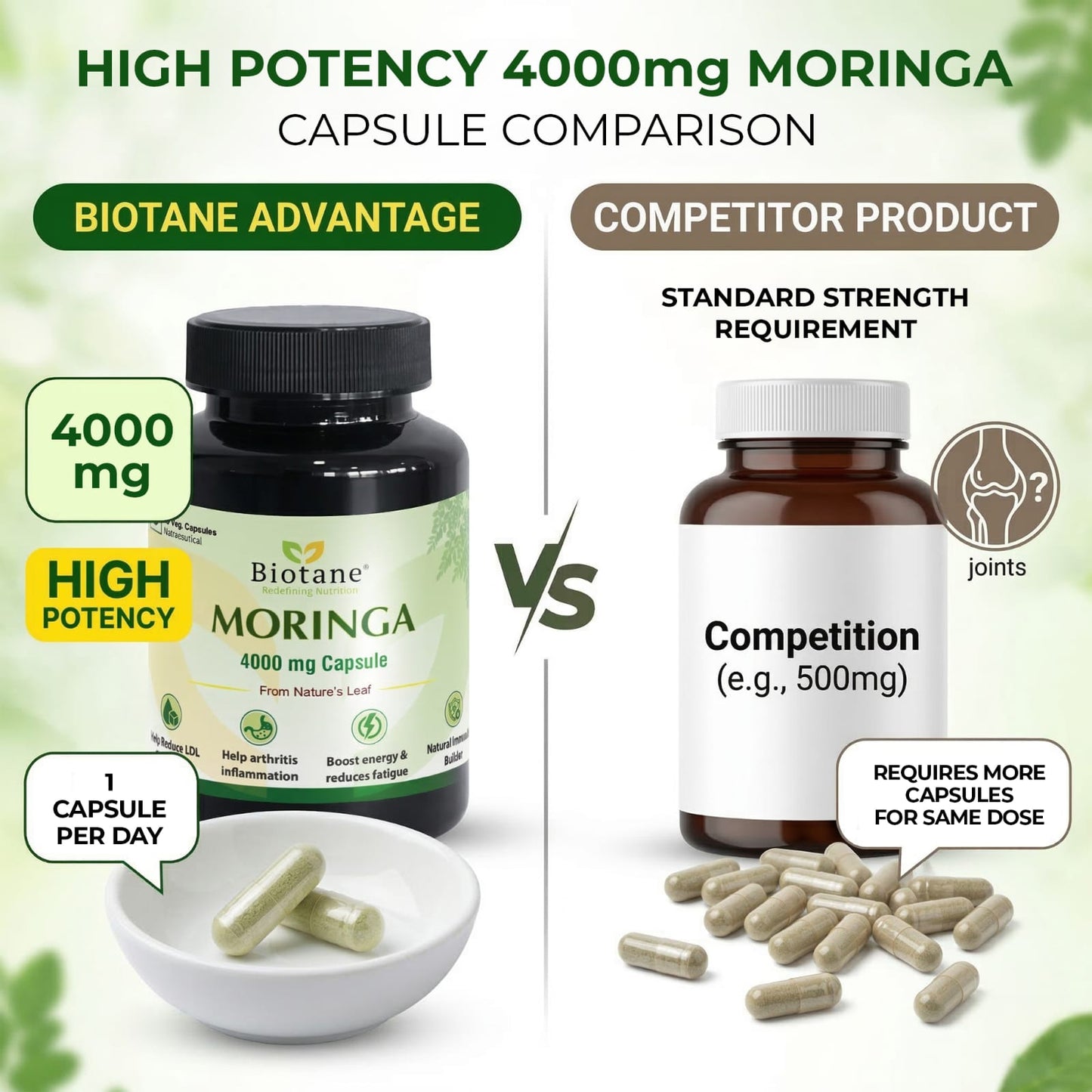 Biotane Moringa Capsules 4000mg | Natural Energy & Immunity Support | Helps Maintain Healthy Cholesterol | Joint & Vitality Care