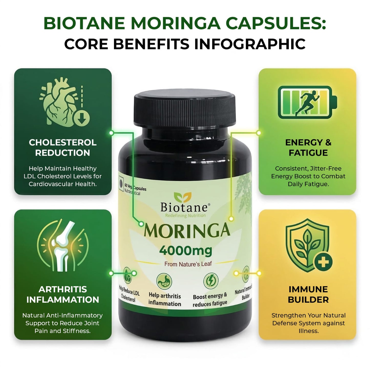 Biotane Moringa Capsules 4000mg | Natural Energy & Immunity Support | Helps Maintain Healthy Cholesterol | Joint & Vitality Care
