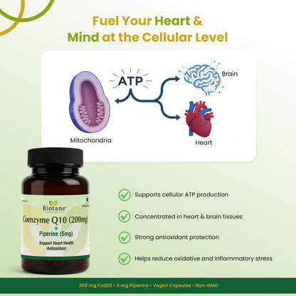 Biotane Coenzyme Q10 Capsules with Piperine 5mg | Antioxidant & Energy Support | Helps Maintain Heart Health & Cellular Wellness | 30 Veg Capsules
