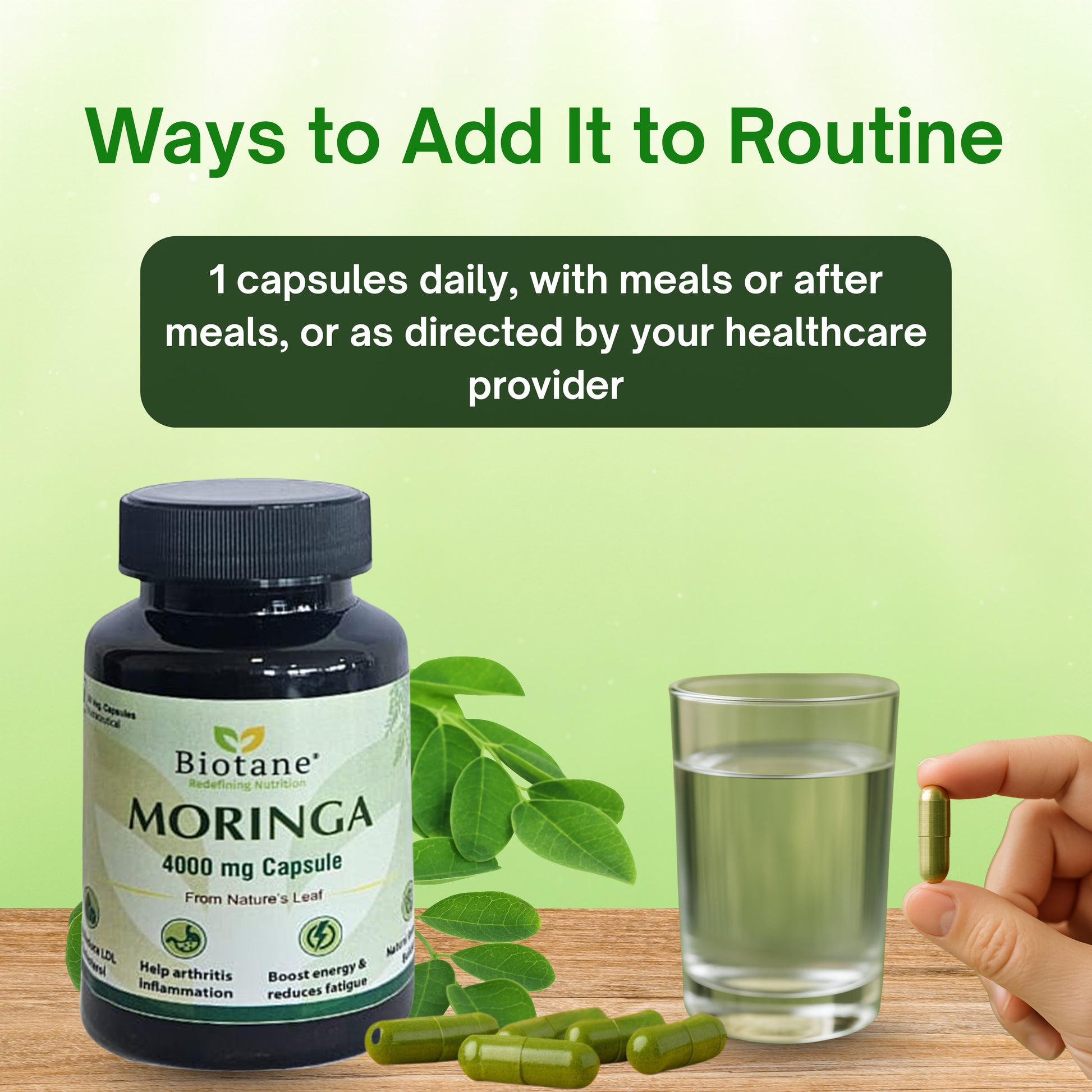 Biotane Moringa Capsules 4000mg | Natural Energy & Immunity Support | Helps Maintain Healthy Cholesterol | Joint & Vitality Care