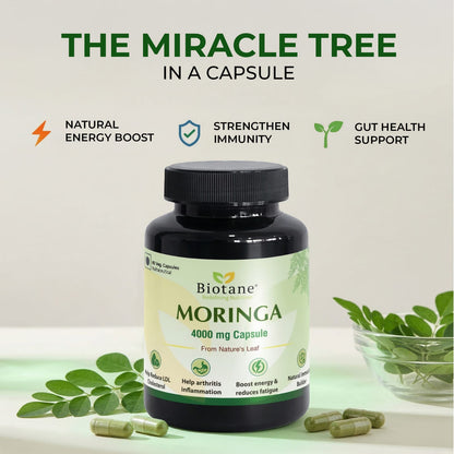 Biotane Moringa Capsules 4000mg | Natural Energy & Immunity Support | Helps Maintain Healthy Cholesterol | Joint & Vitality Care