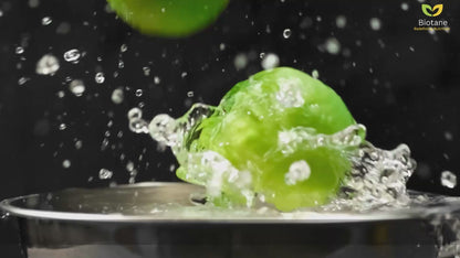 Biotane ACV (Apple Cider Vinegar) with Moringa & Pomegranate Extract Effervescent Tablets | Weight Management & Stress Relief Supplement | Green Apple Flavour – 15 Tablets